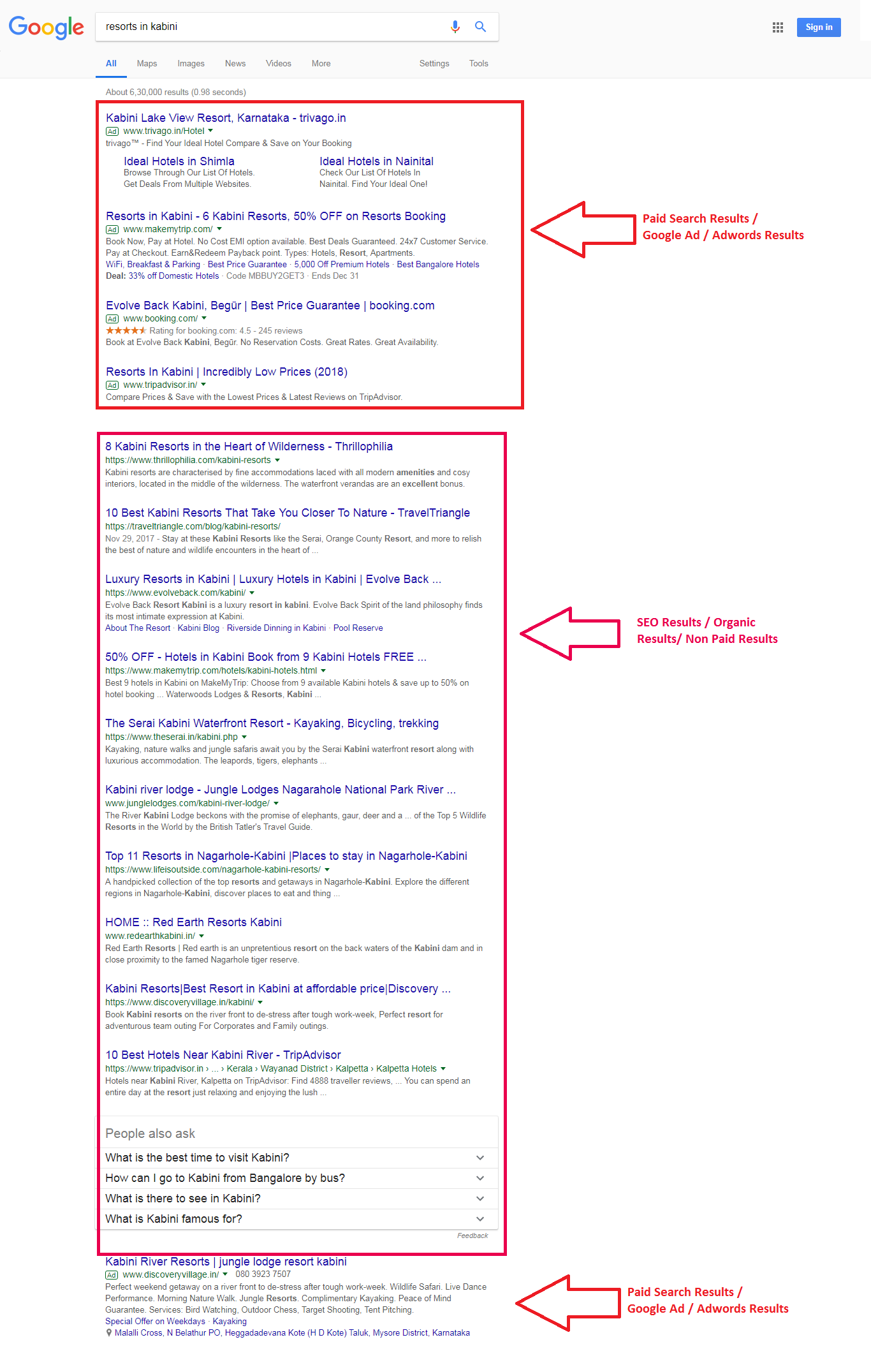 Google Paid Search Results