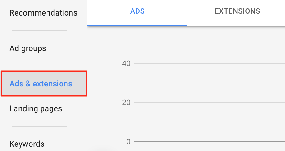 Google Ads & Extensions