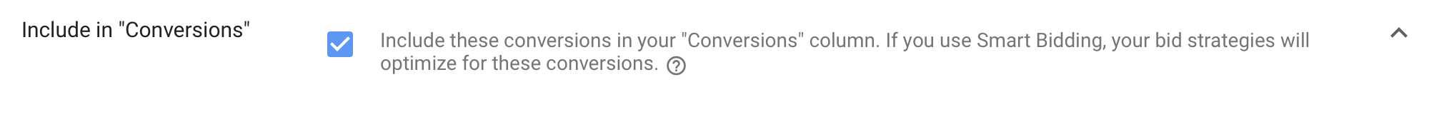 Google Ads Include in Conversions