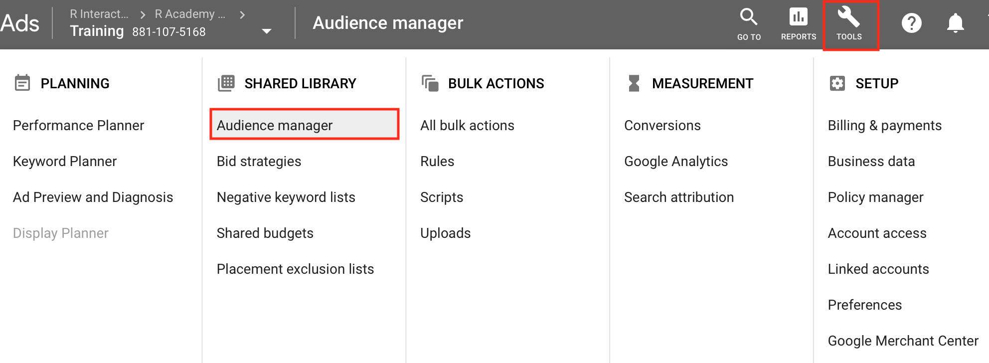 Google Ads Audience Manager