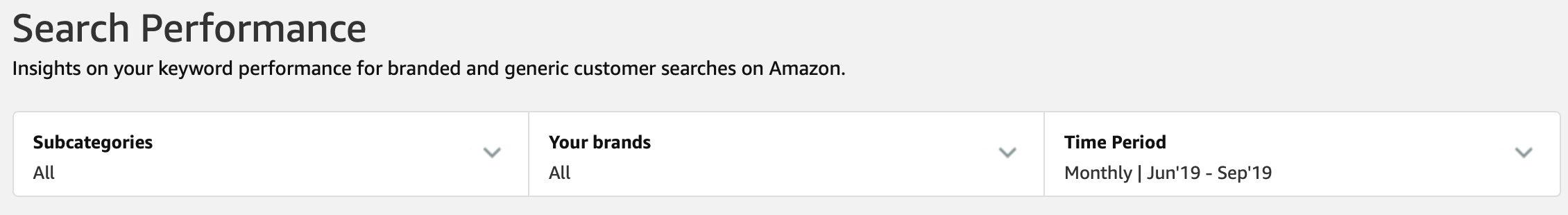 Amazon Pi Search Report