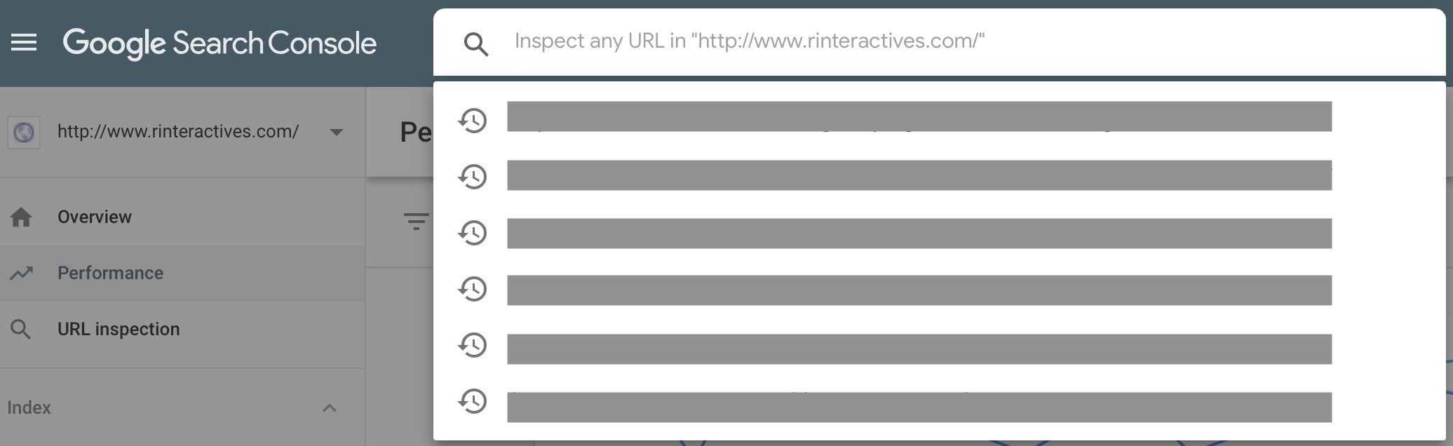 URL Inspection Report 