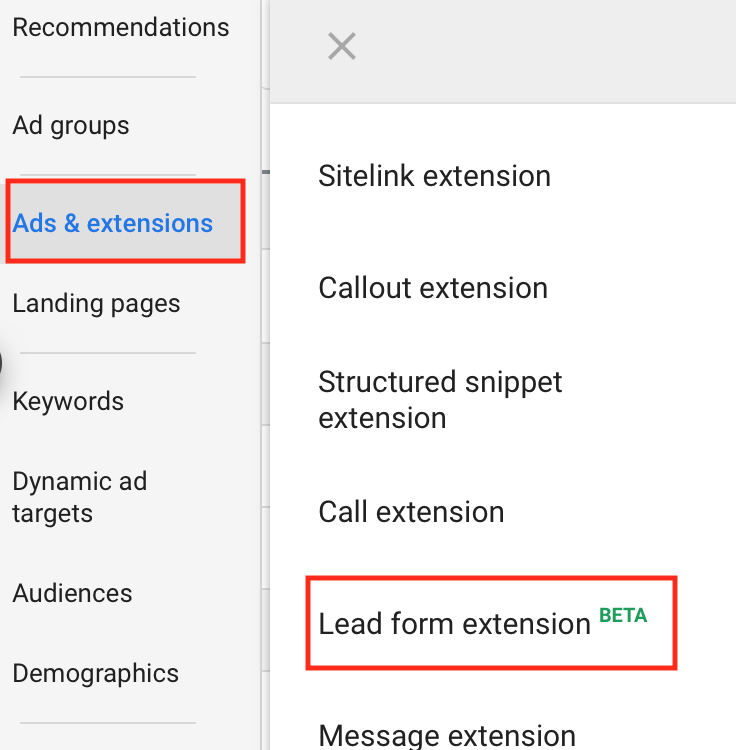 Google Lead Form Extension