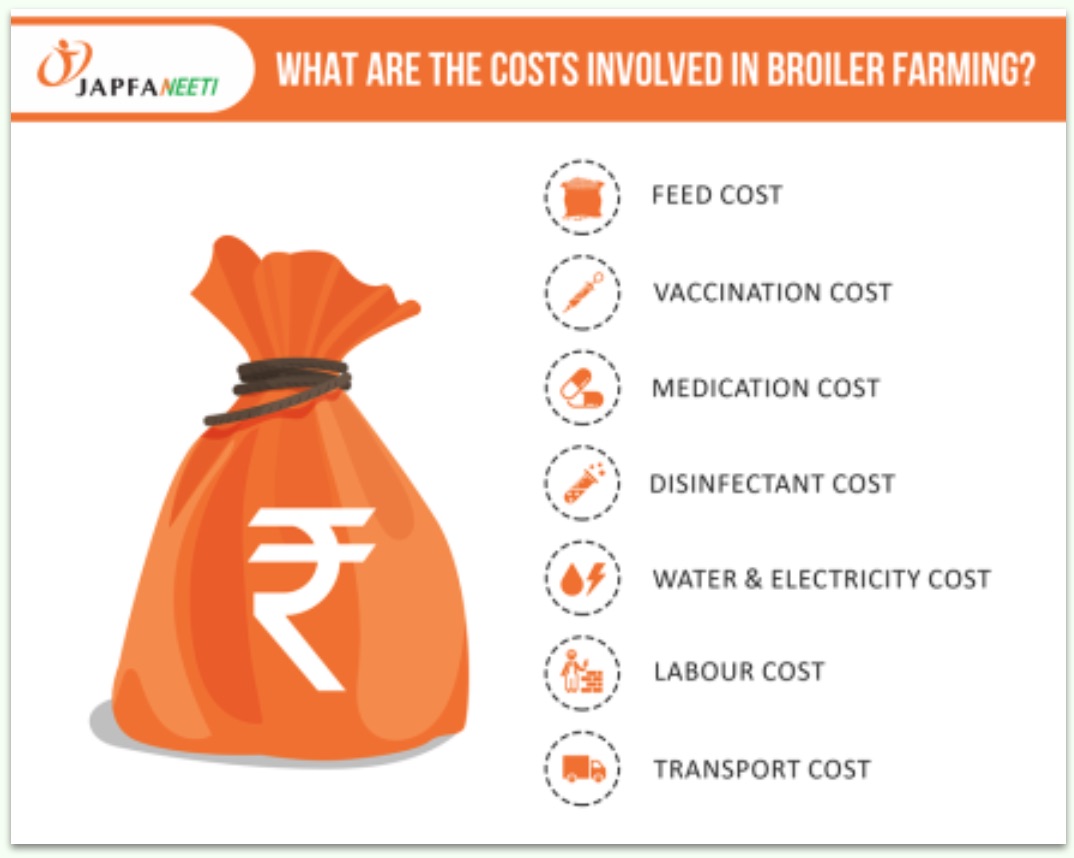 Broiler Farming Costs