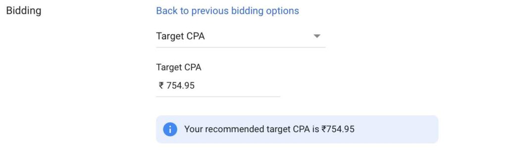 CPA Bidding Strategy