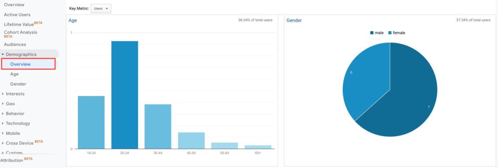 Google Analytics Demographics Report