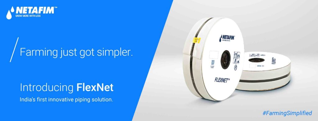 FlexNet Digital Marketing Campaign